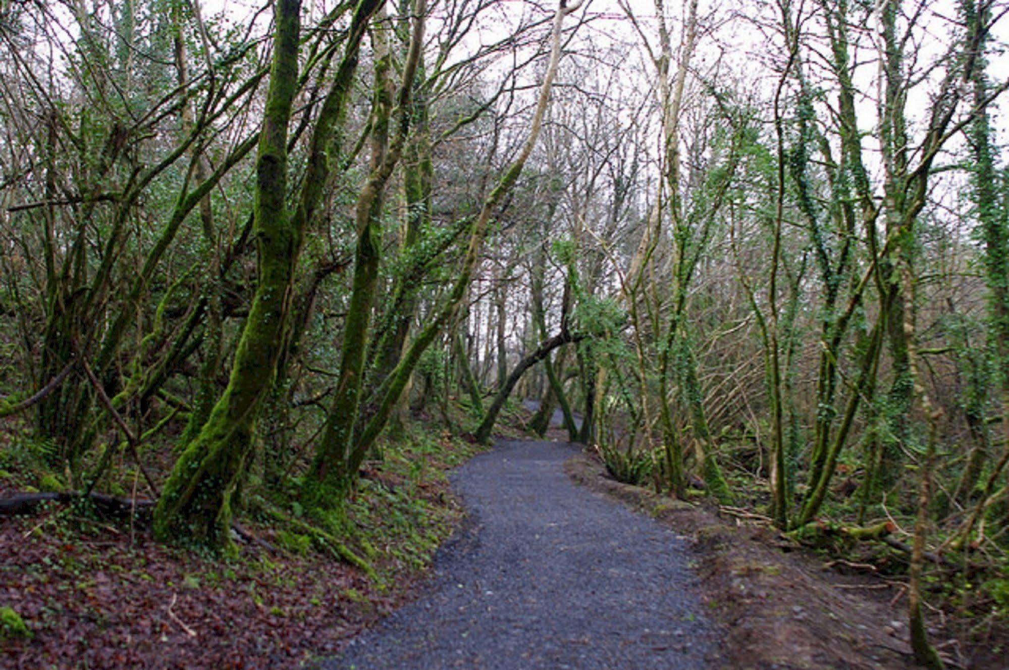 Breaffy Woods Hotel Castlebar Eksteriør bilde